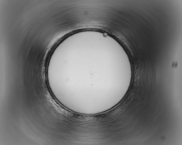 X0000115351072200911241147