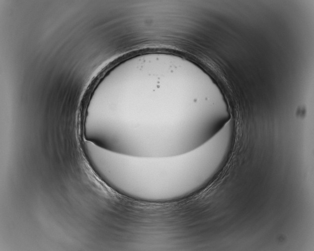 X0000115351076200911241147