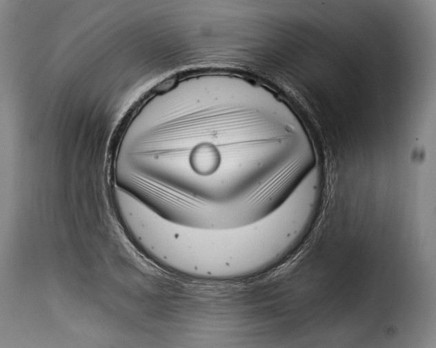 X0000115351077200911241147