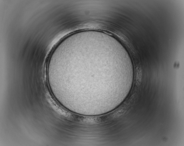 X0000115351078200911241147