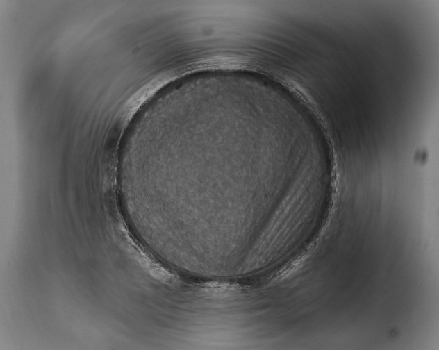 X0000115351081200911241147