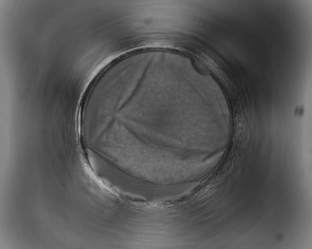 X0000115351084200911241147