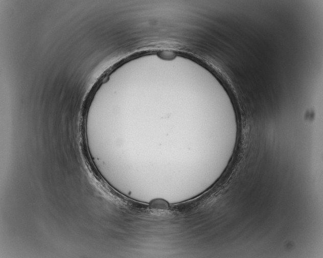 X0000115351085200911241147