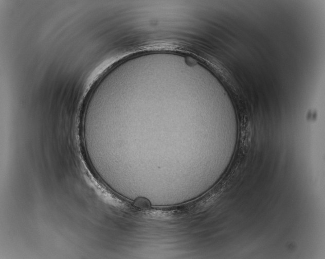 X0000115351086200911241147