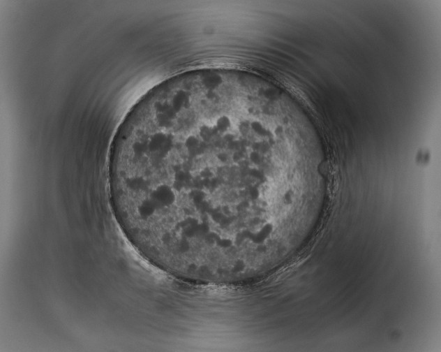 X0000115351087200911241147