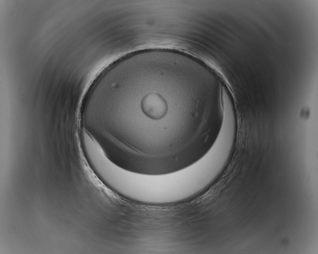 X0000115351088200911241147