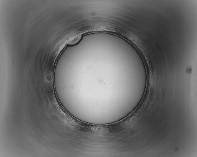 X0000115351089200911241147