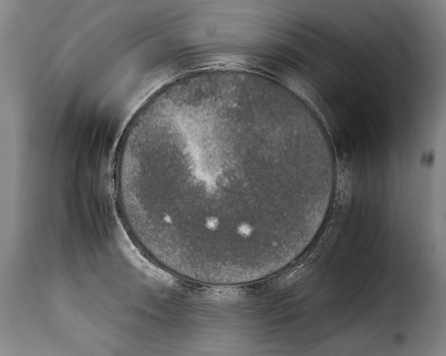 X0000115351090200911241147