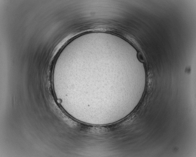 X0000115351091200911241147