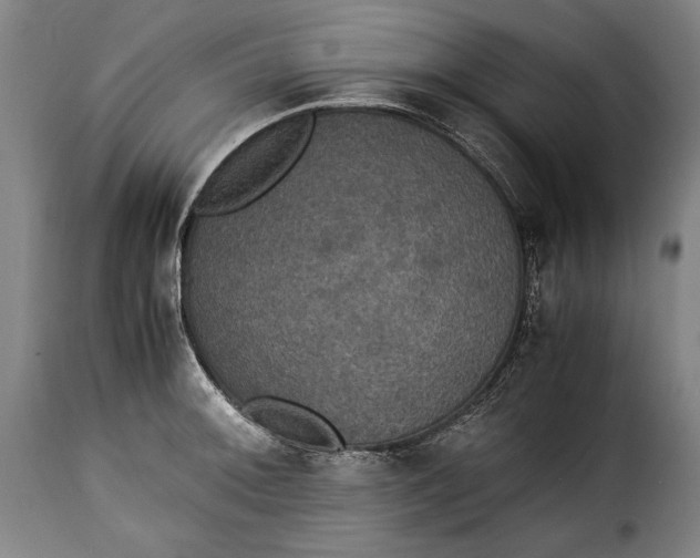 X0000115351092200911241147