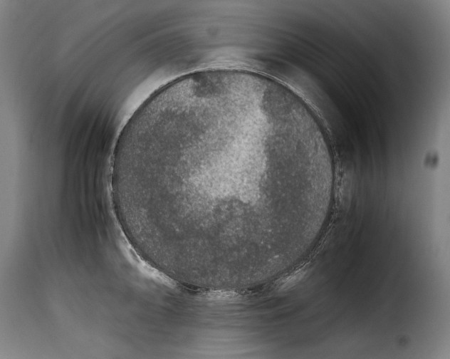 X0000115351094200911241147
