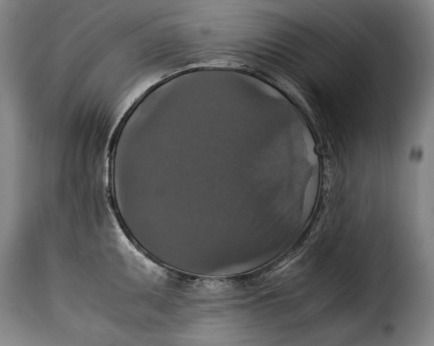 X0000115351095200911241147