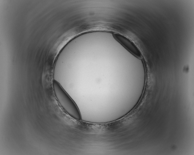 X0000115351097200911241147