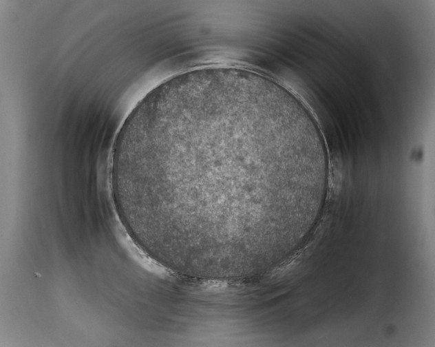 X0000115351098200911241147