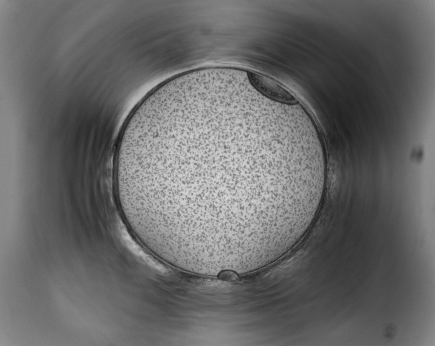 X0000115351100200911241147