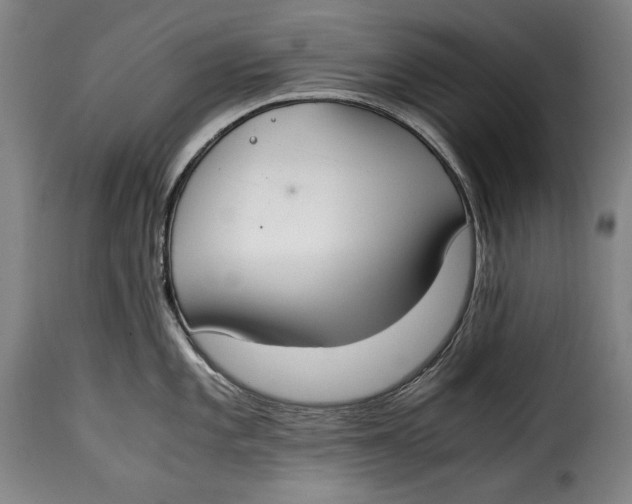 X0000115351101200911241147