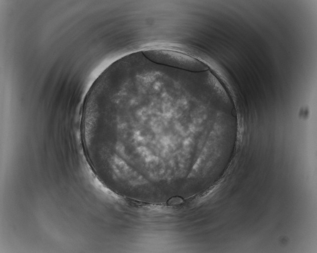 X0000115351102200911241147
