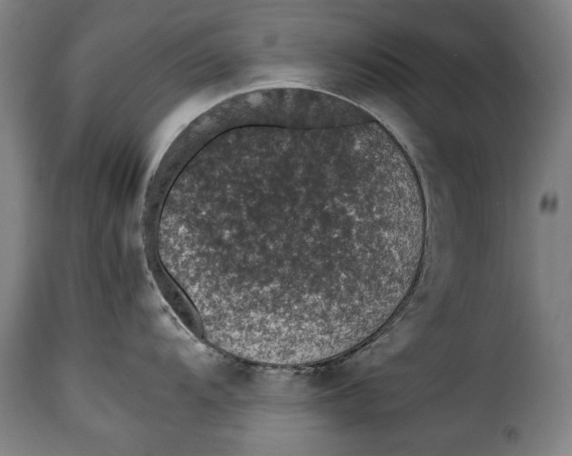 X0000115351104200911241147