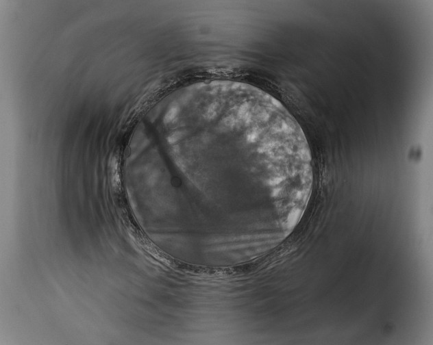 X0000115351106200911241146