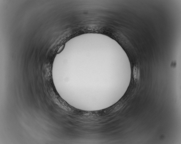 X0000115351107200911241146