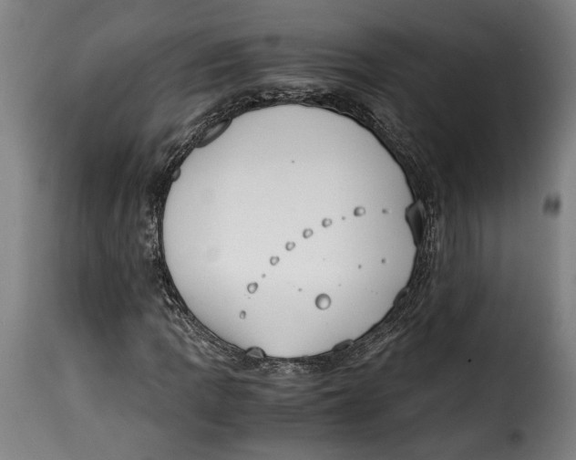 X0000115351109200911241146