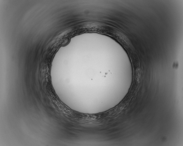 X0000115351111200911241146