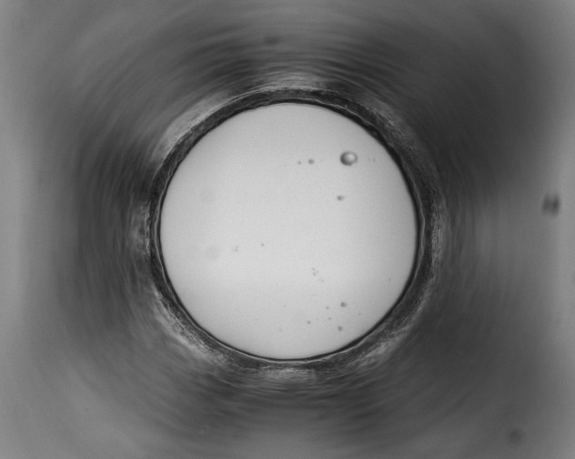 X0000115351113200911241146