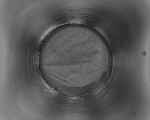 X0000115351115200911241146