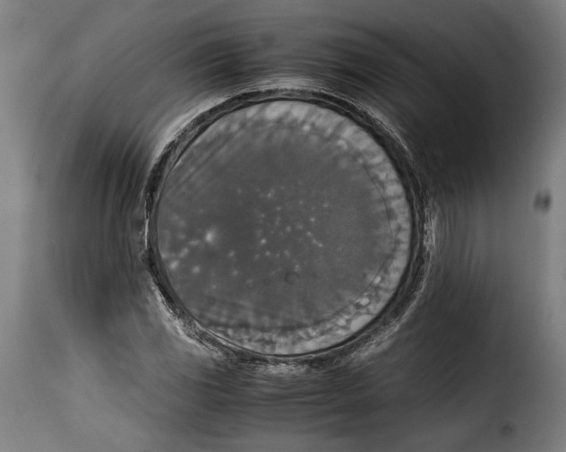 X0000115351117200911241146