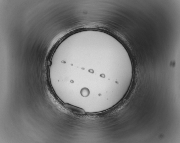 X0000115351122200911241146