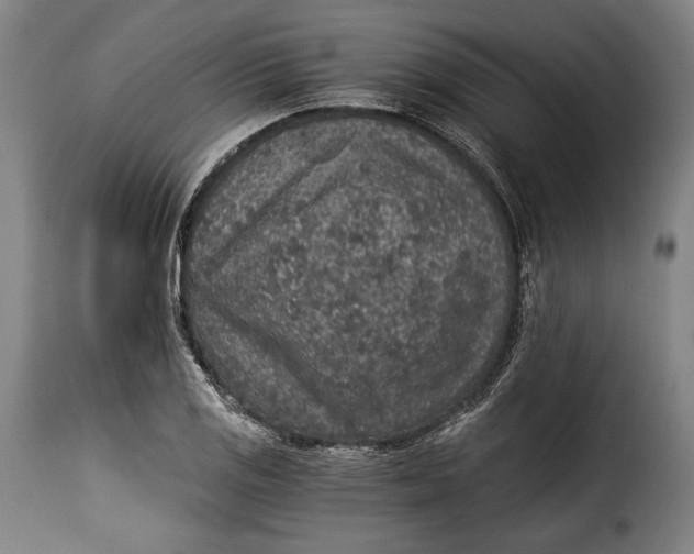 X0000115351125200911241146