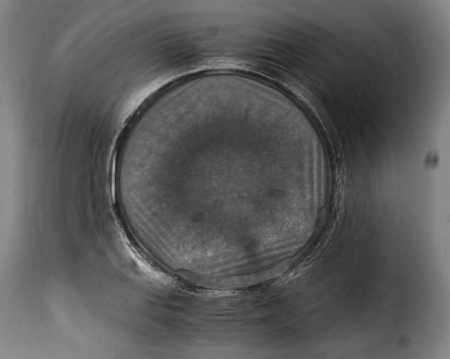 X0000115351127200911241146