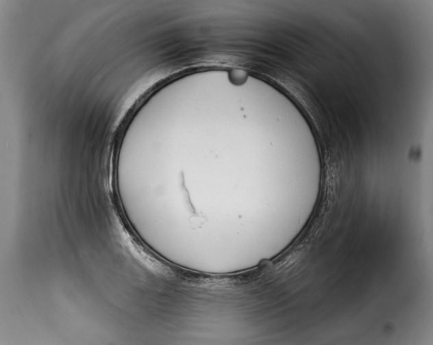 X0000115351131200911241147