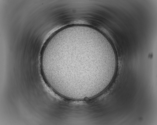 X0000115351133200911241147