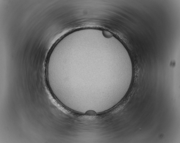 X0000115351134200911241147