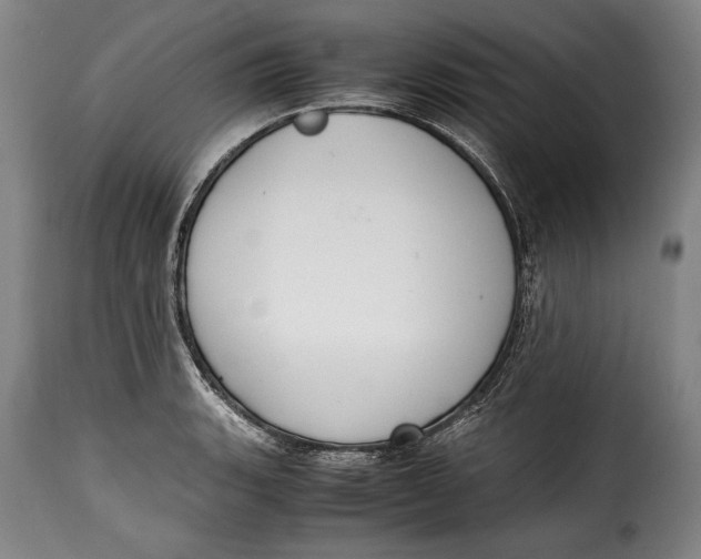 X0000115351135200911241147