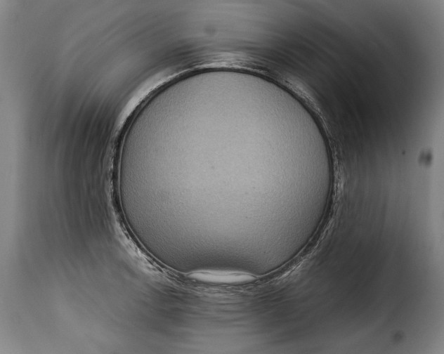 X0000115351138200911241147