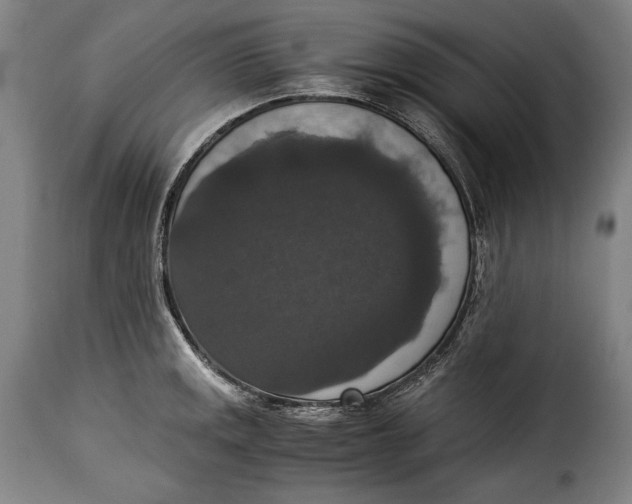 X0000115351141200911241147