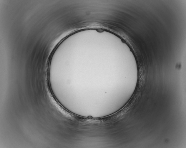X0000115351142200911241147