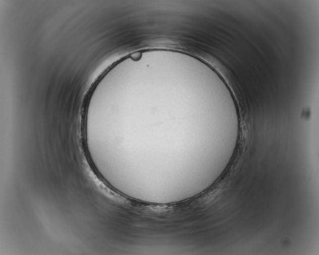 X0000115351147200911241147