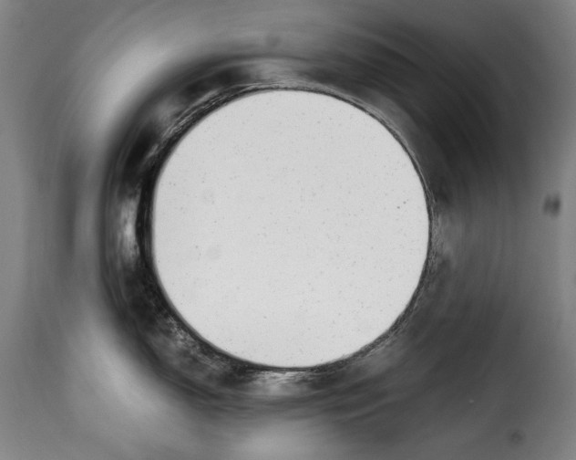 X0000115351150200911241147