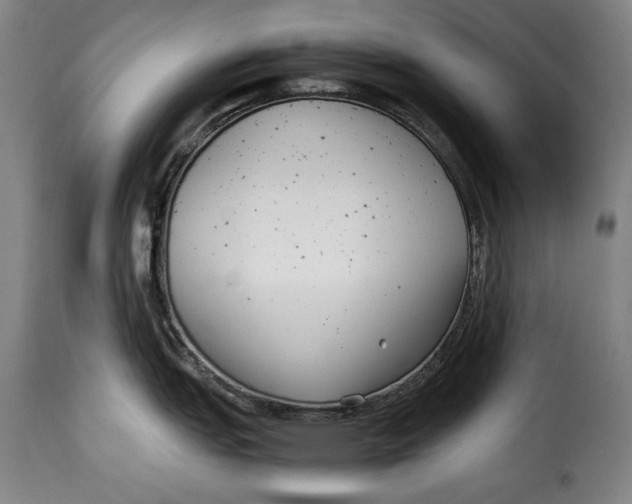 X0000115351151200911241147