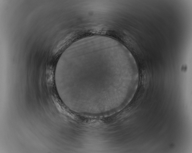 X0000115351154200911241146