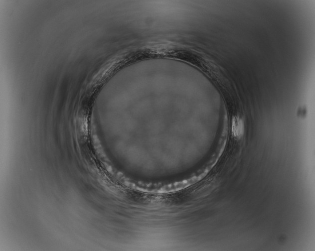 X0000115351155200911241146