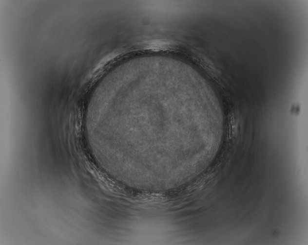 X0000115351158200911241146