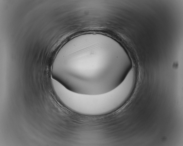 X0000115351161200911241146