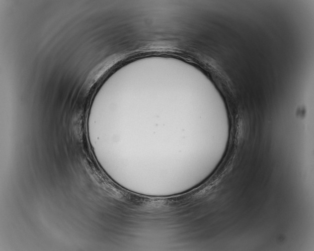 X0000115351162200911241146