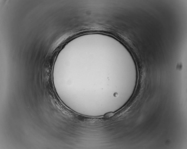 X0000115351163200911241146