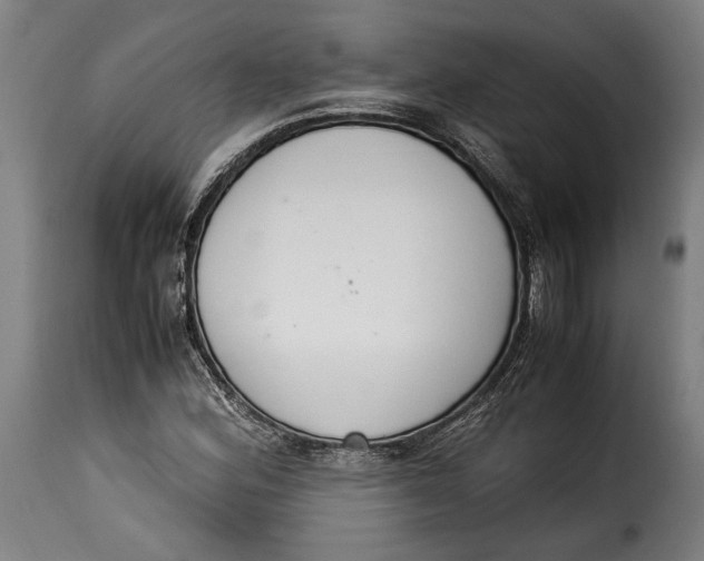 X0000115351164200911241146