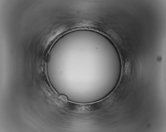 X0000115351165200911241146
